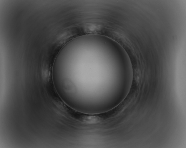 X0000088470324200705221408