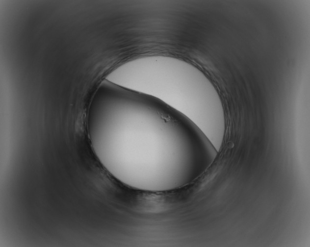 X0000088470325200705221408