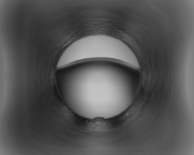 X0000088470329200705221408