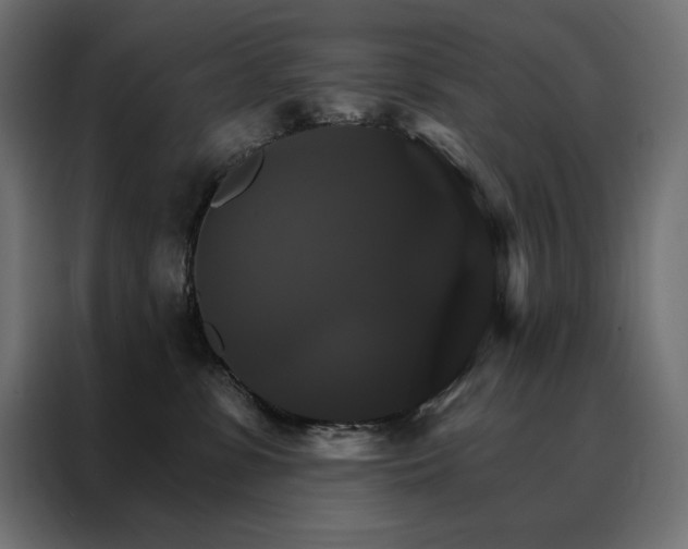 X0000088470331200705221408