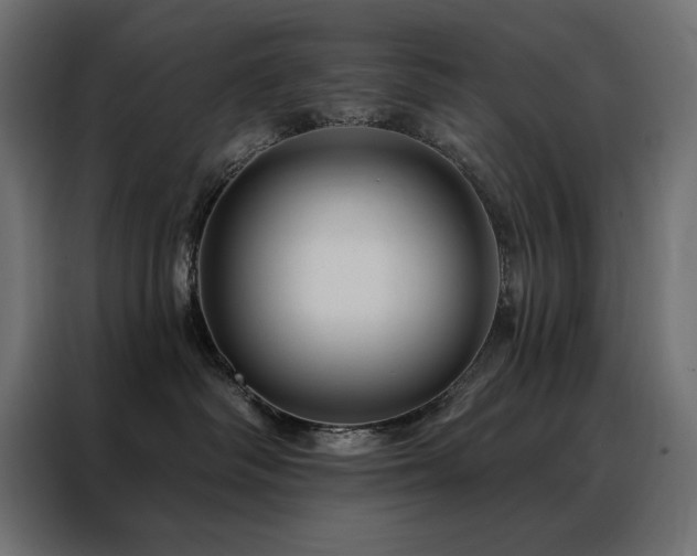 X0000088470334200705221408