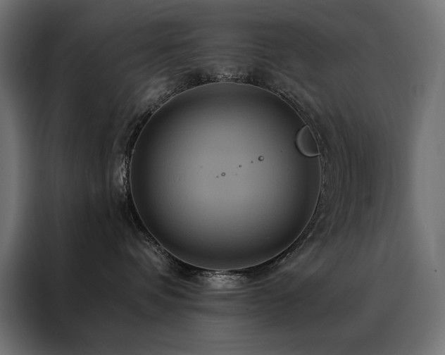 X0000088470336200705221408
