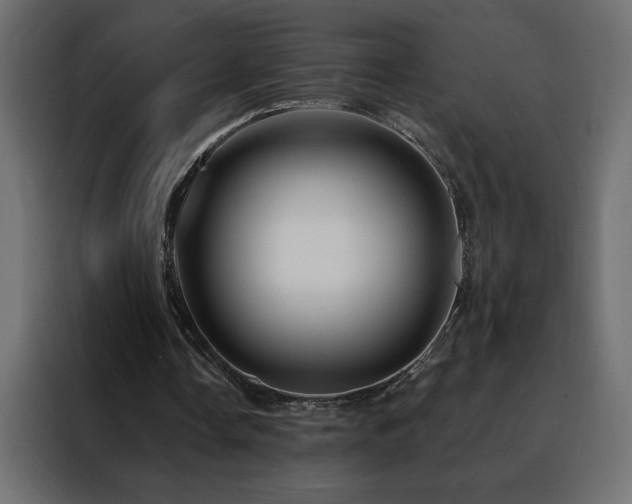 X0000088470338200705221407