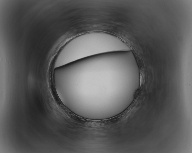 X0000088470339200705221407