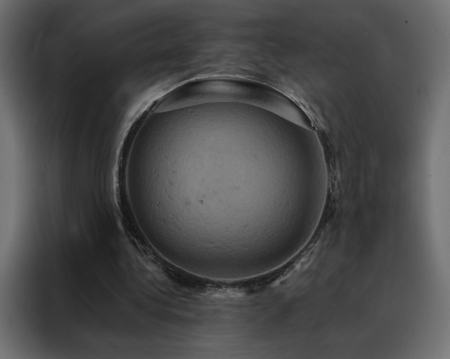 X0000088470340200705221407