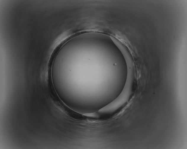 X0000088470344200705221407
