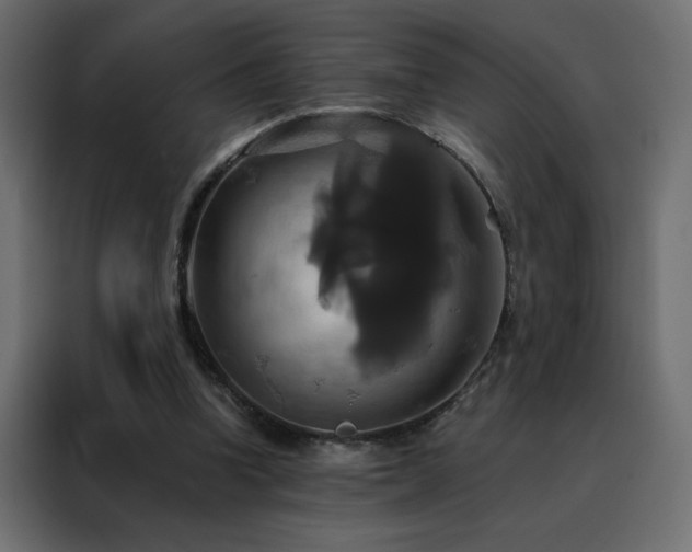 X0000088470346200705221407
