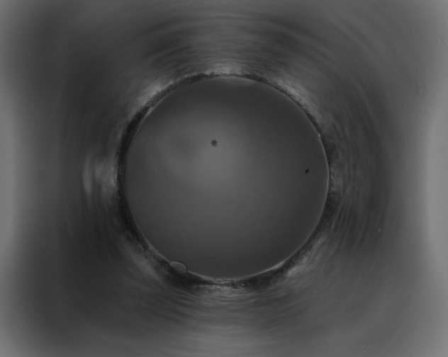 X0000088470347200705221407