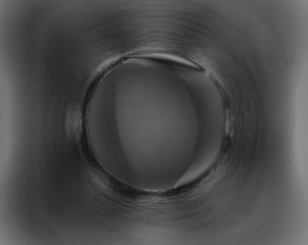 X0000088470348200705221407