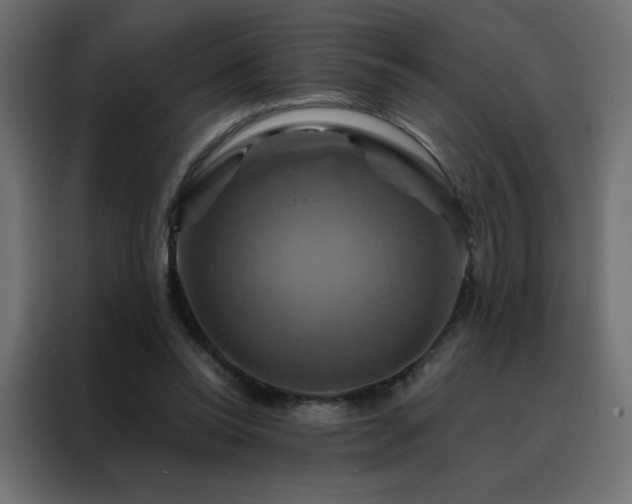 X0000088470350200705221407
