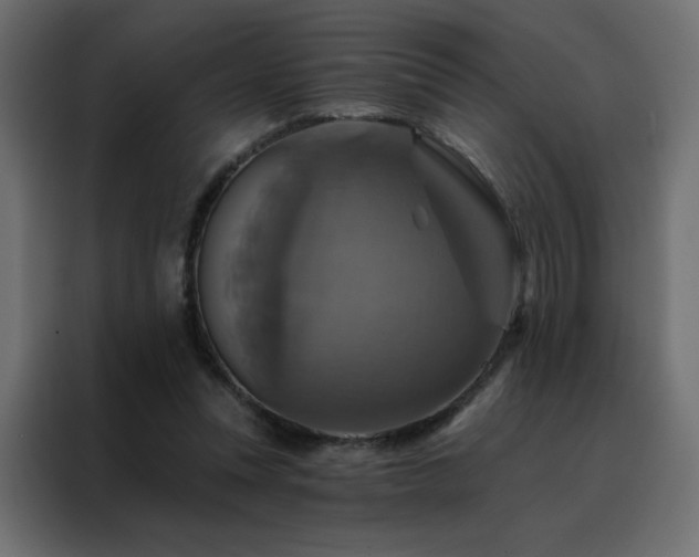 X0000088470351200705221407