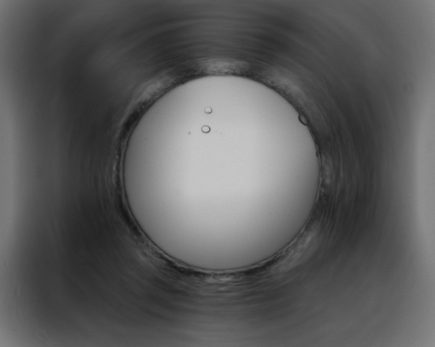 X0000088470357200705221407