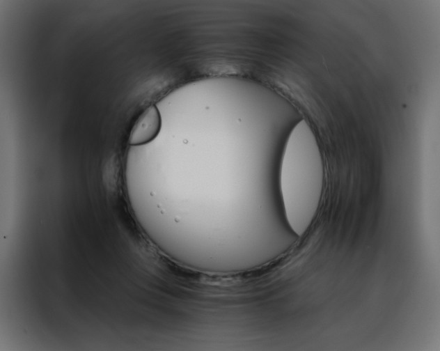 X0000088470359200705221408