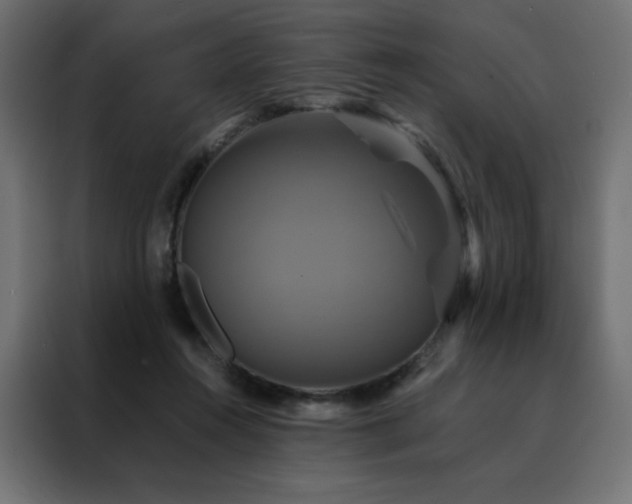 X0000088470360200705221408