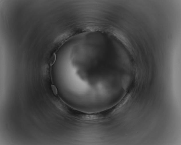 X0000088470361200705221408