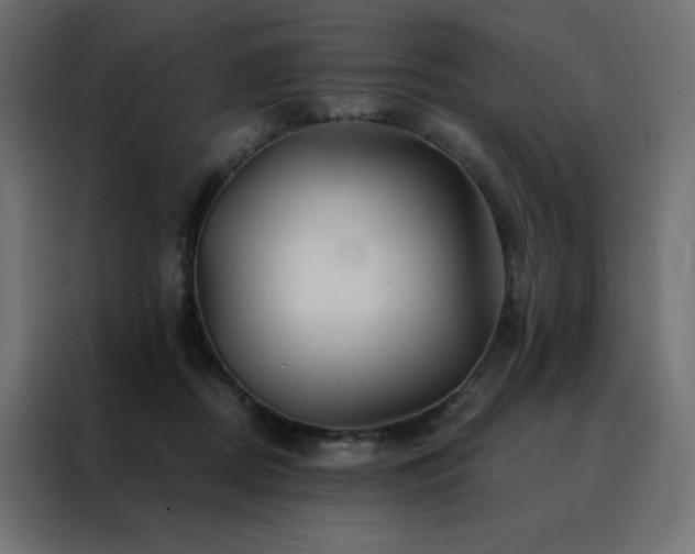 X0000088470362200705221408
