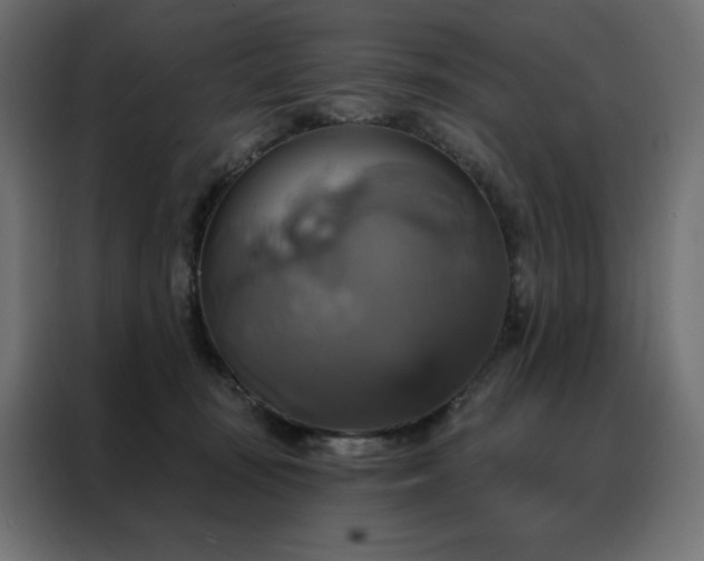 X0000088470371200705221408