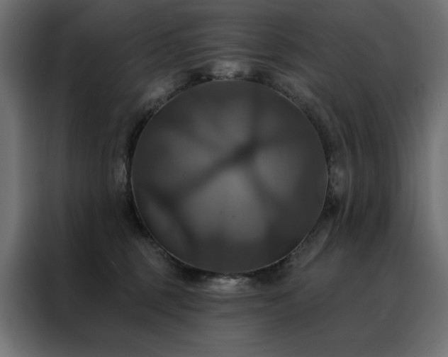 X0000088470375200705221408