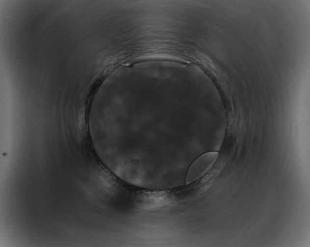 X0000088470377200705221408