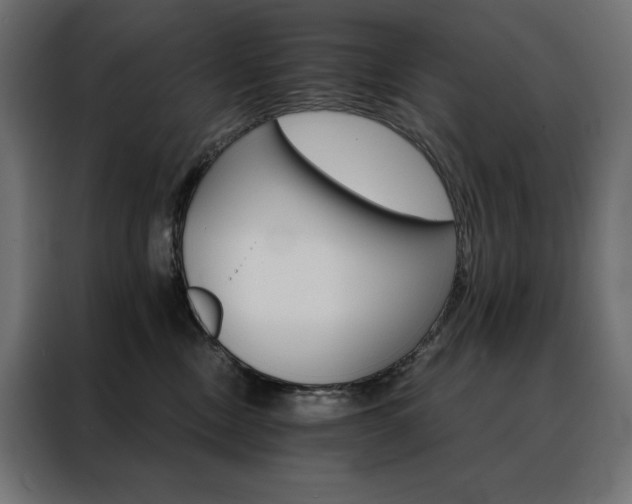 X0000088470378200705221408