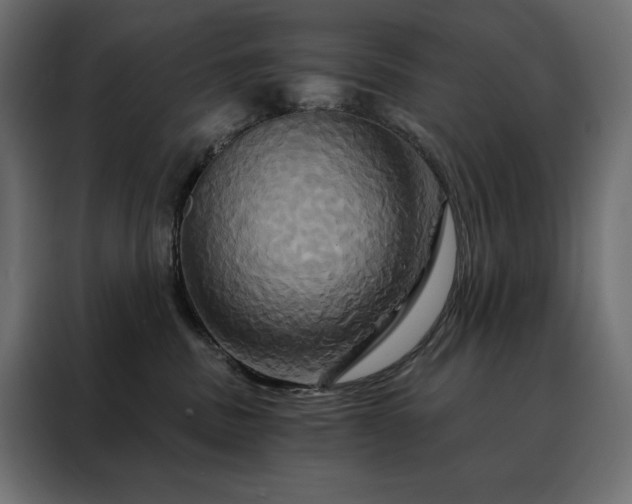 X0000088470379200705221408