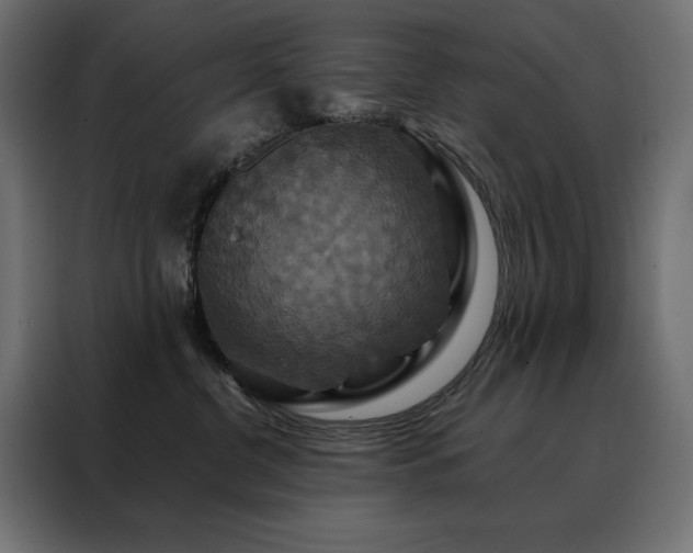 X0000088470380200705221408