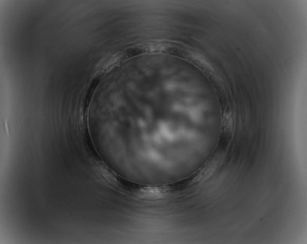 X0000088470381200705221408