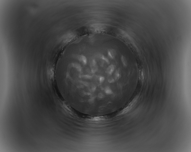 X0000088470382200705221408