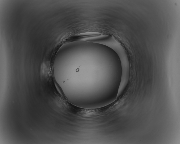 X0000088470384200705221408