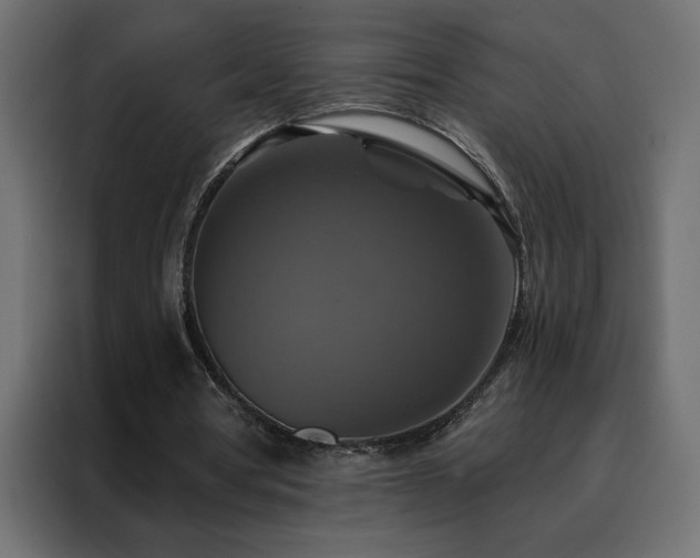 X0000088470386200705221407