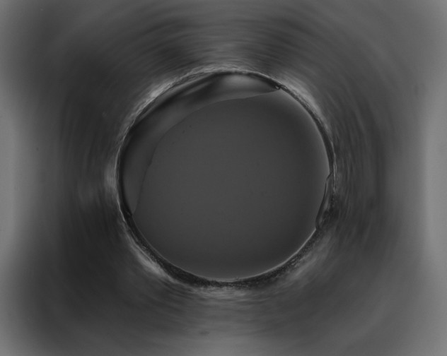 X0000088470389200705221407