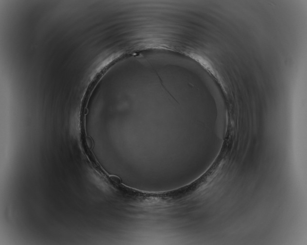 X0000088470390200705221407