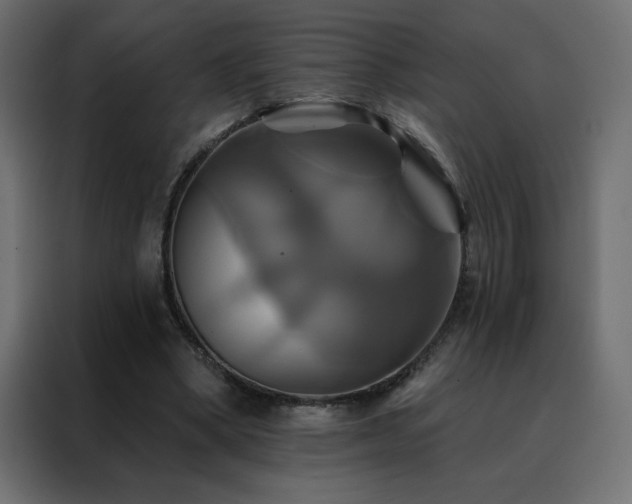 X0000088470394200705221407