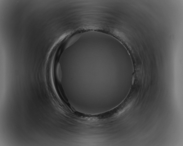 X0000088470395200705221407