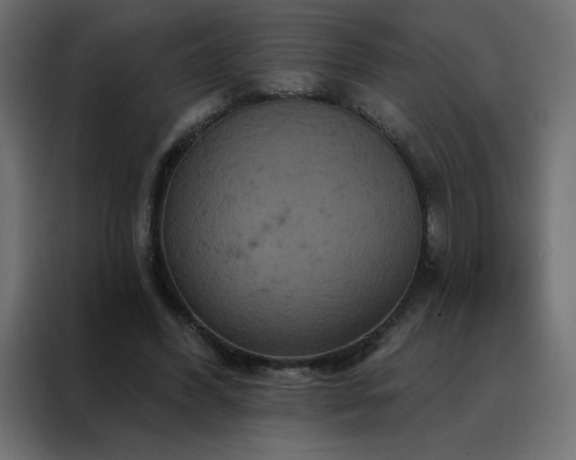 X0000088470396200705221407