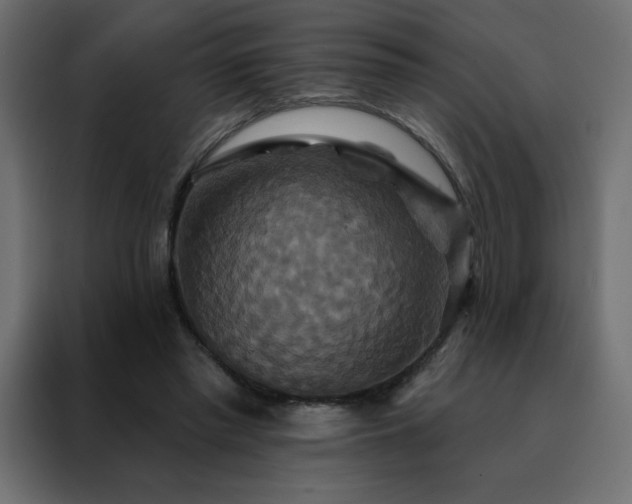 X0000088470397200705221407