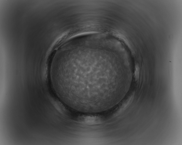 X0000088470400200705221407