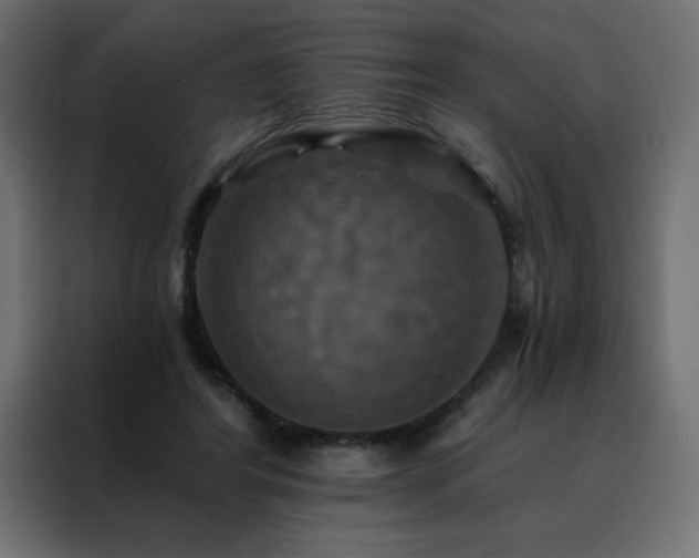 X0000088470404200705221407