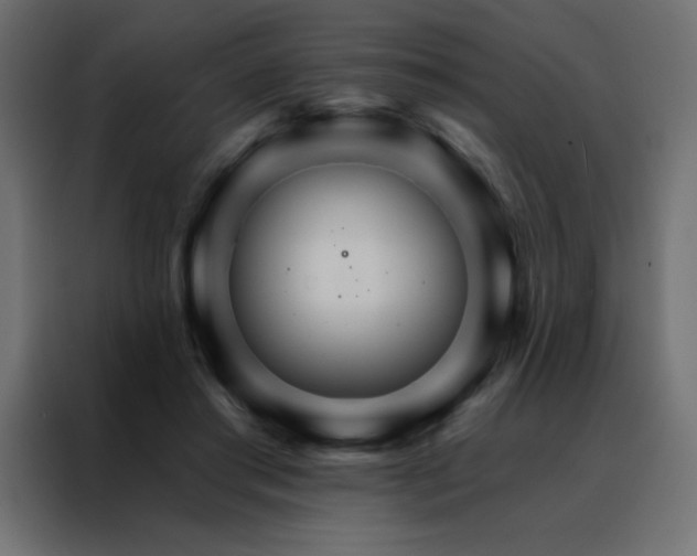 X0000088470405200705221407
