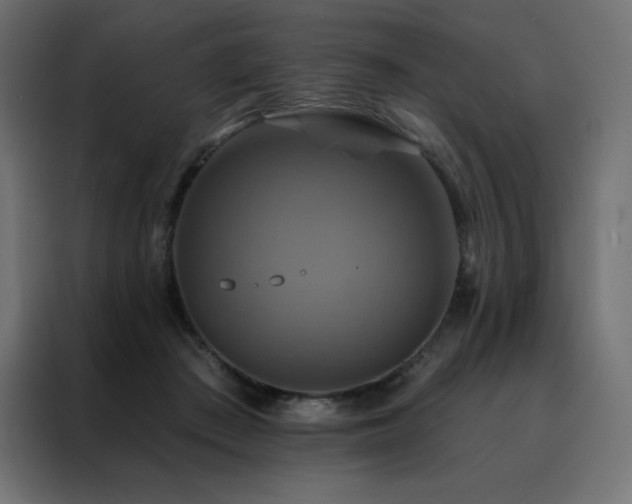 X0000088470409200705221407