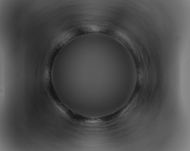 X0000088470410200705221407