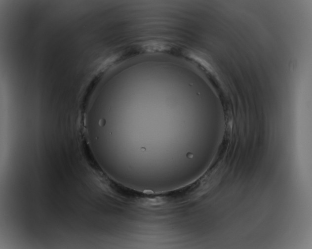 X0000088470411200705221407