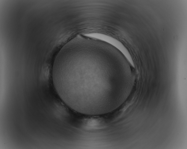 X0000088470412200705221407