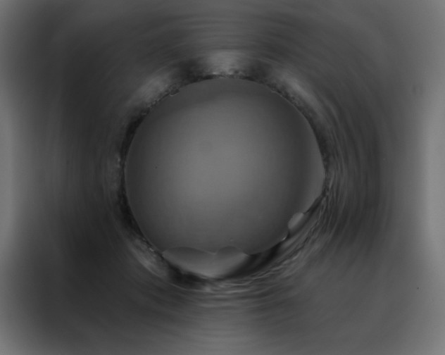 X0000088470413200705221407