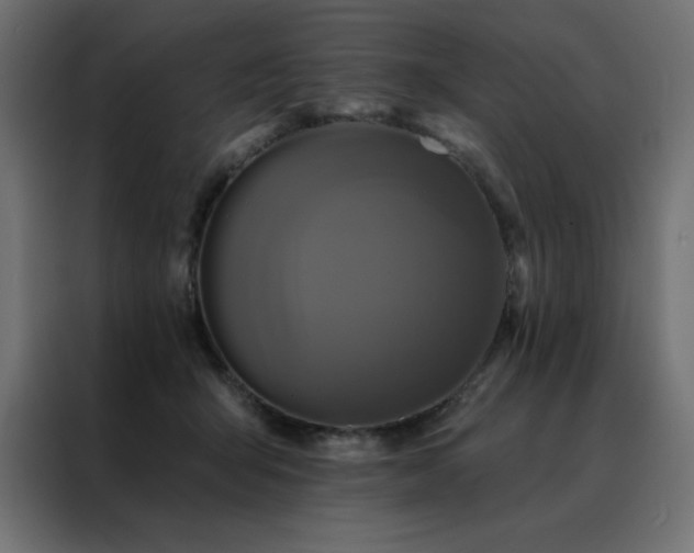 X0000088470415200705221407