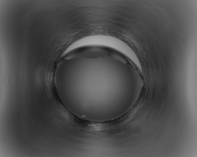 X0000088470417200705221407