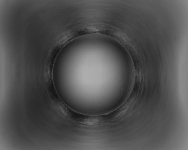 X0000088470418200705221407