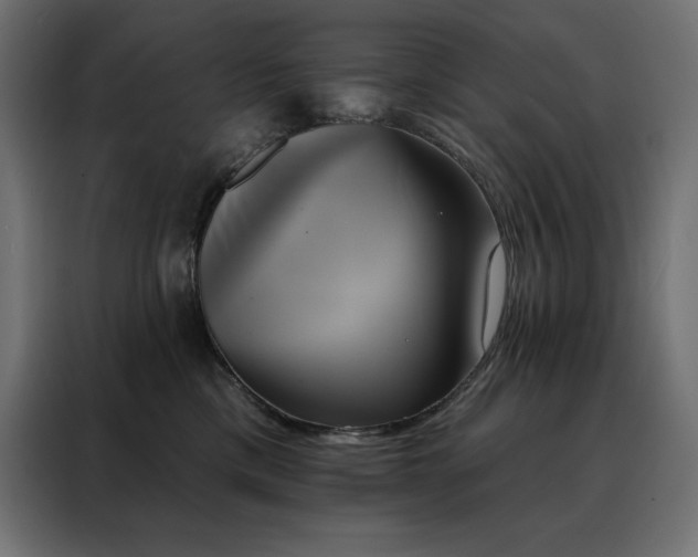 X0000088470425200705221407