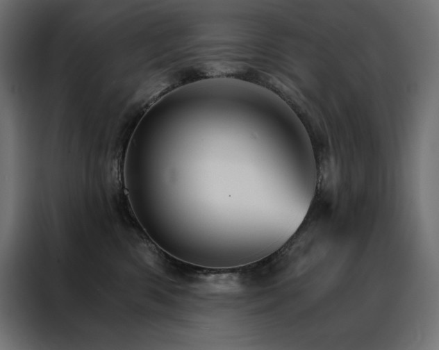 X0000088470426200705221407