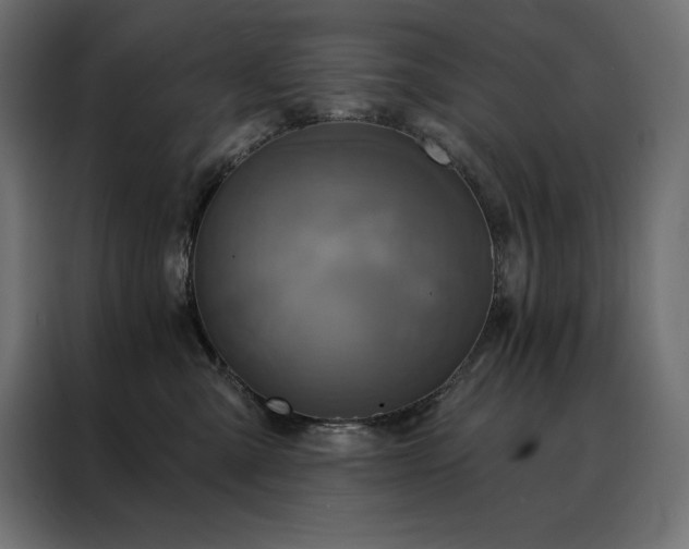 X0000088470427200705221407